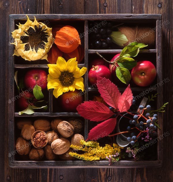 Quand opter pour une box mensuelle ?